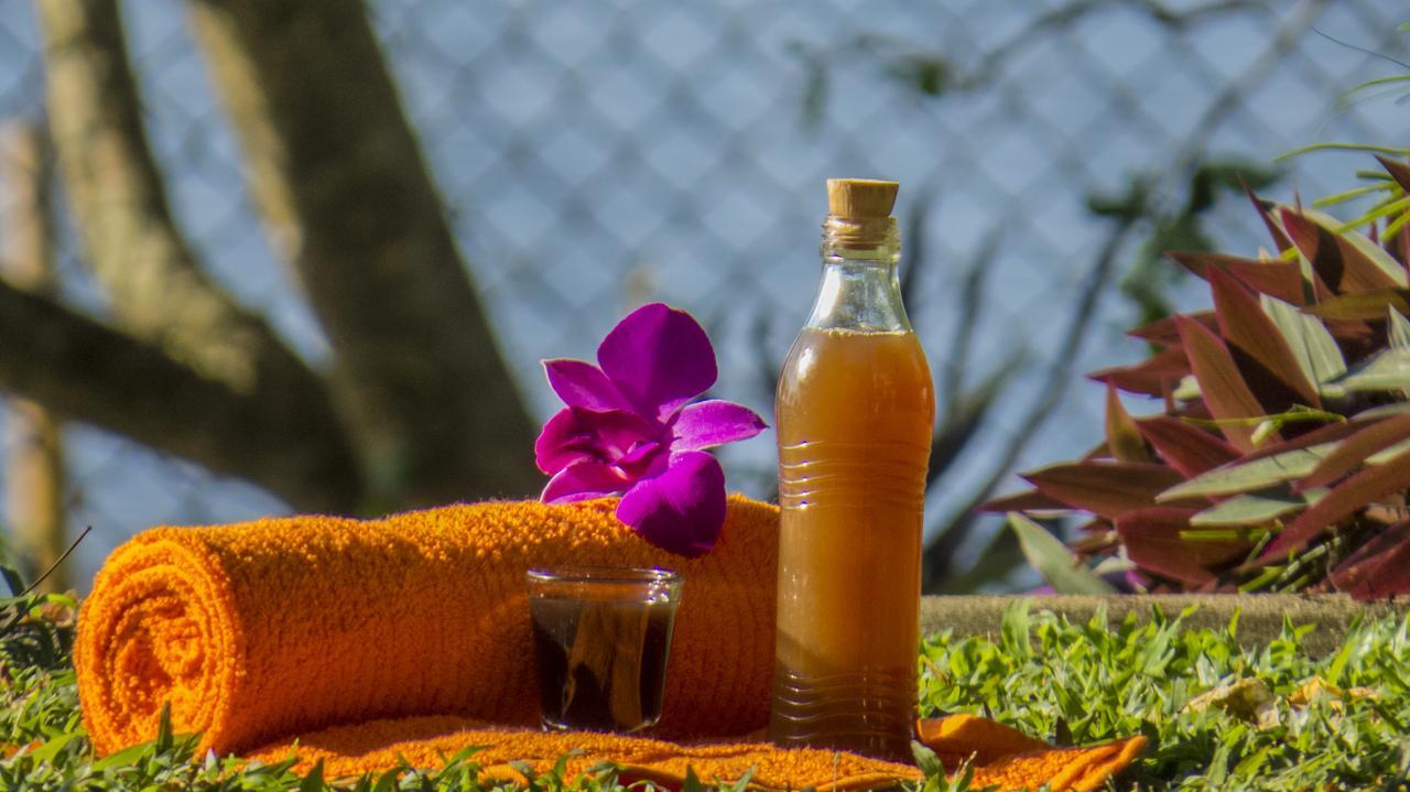 Отель Ayurveda Spring Of Life Пилияндала Экстерьер фото
